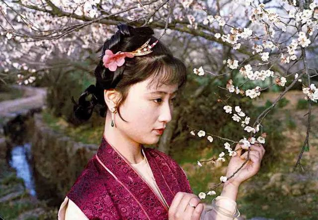 读了《红楼梦》才知道,钝感力是治愈生活的良药|林