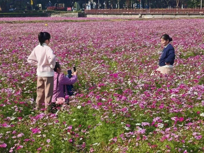 人少还免费抓住假期尾巴东莞这些好去处别错过