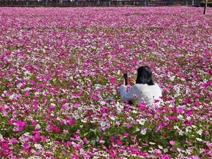 人少还免费抓住假期尾巴东莞这些好去处别错过