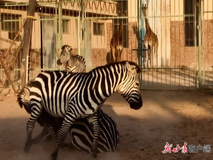 强省会 促发展|兰州市持续发力打造全域旅游品牌——|