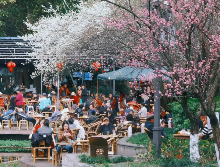 图源小红书网友@瑶钦Urim