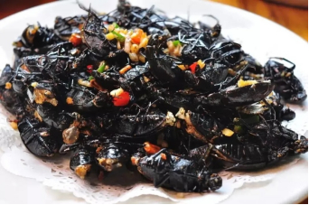 椒盐龙虱（实为水龟虫）（图片来源：https://zhuanlan.zhihu.com/p/397065748）