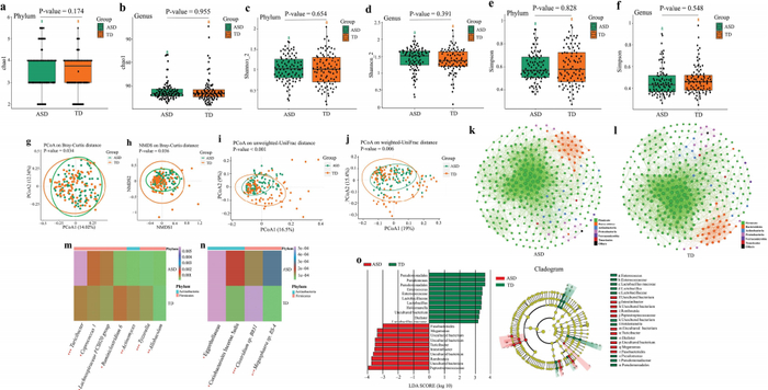 中大团队揭示自闭症儿童胃肠道问题的机制,为临床应用