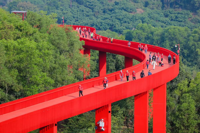 300名深圳市民在虹桥公园开启新春徒步之旅|深圳市_新浪新闻