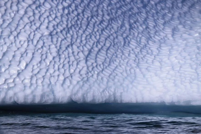 ▲受访者肥鹅供图