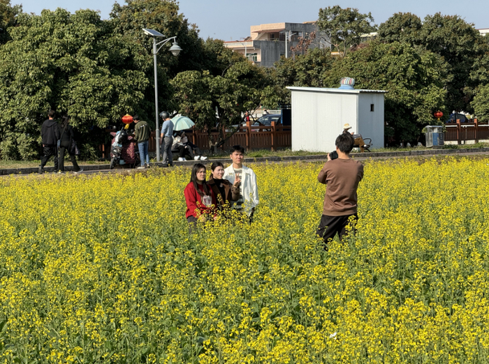 心动了东莞这些花海盛放超出片
