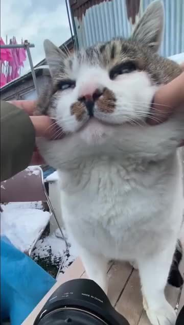 超q弹的嘴边肉insbigfacecatkenji