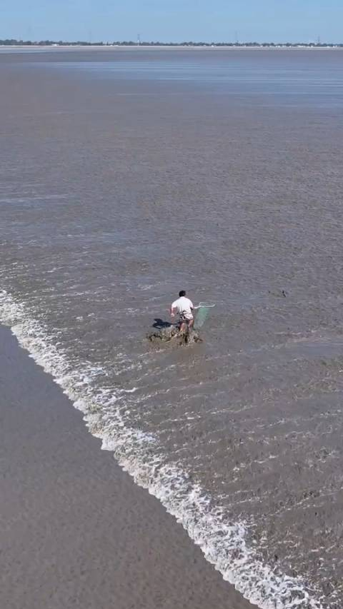 冒着生命危险抓潮头鱼值得吗