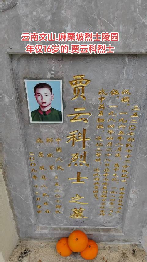 珍惜当下铭记历史不忘英雄