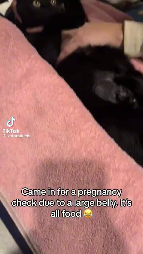 因为她肚子太大就带来检查一下看是不是怀孕了