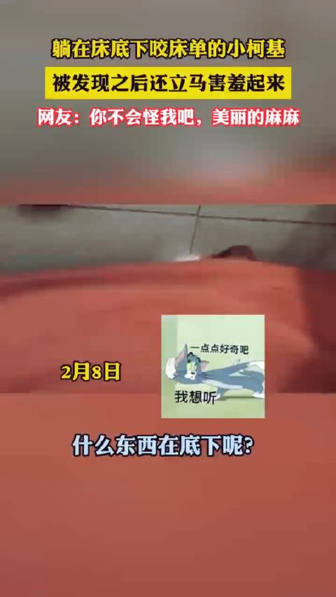 这小表情很可爱