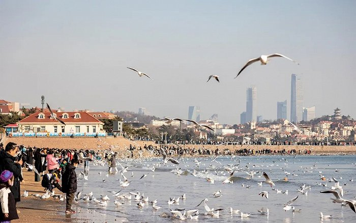 太火爆青岛上榜十大热门目的地