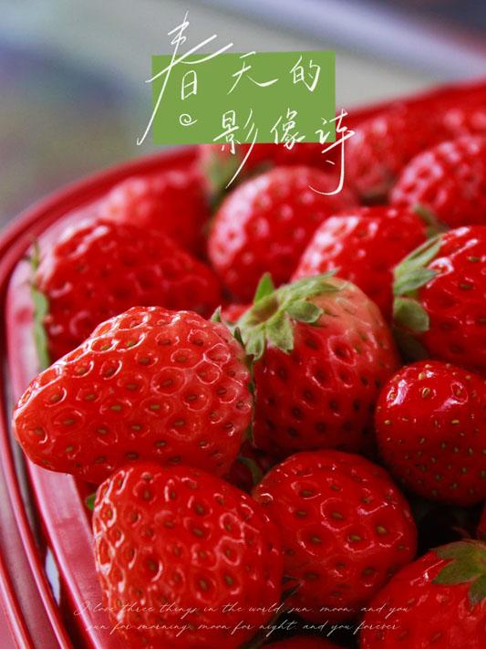 组图 | 临武:草莓拍了拍你说今年"莓"烦恼