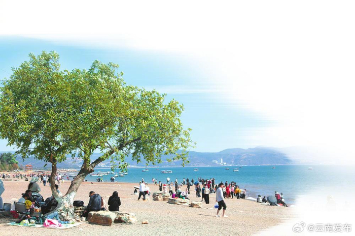 "高颜值"抚仙湖吸引八方宾客__财经头条