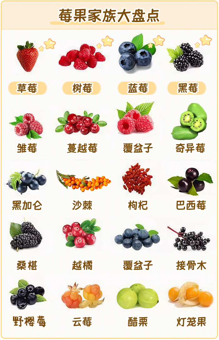蔓越莓,这些莓果类家族成员的口感更适合小朋友,尤其是蓝莓,草莓,黑莓
