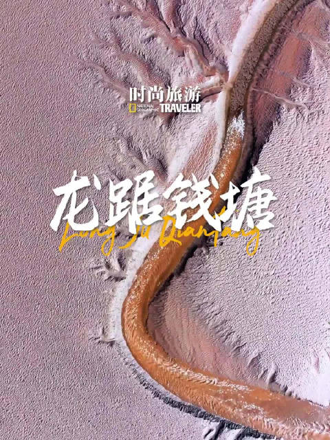 龙年启幕钱塘江潮汐树也呈现出巨龙模样