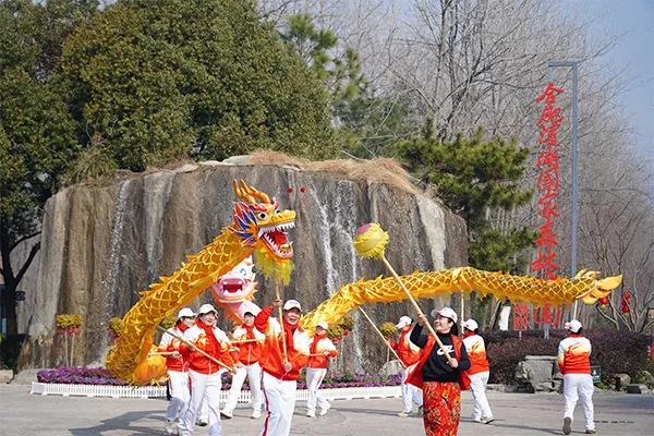 滨湖国家森林公园举办舞龙民俗表演。