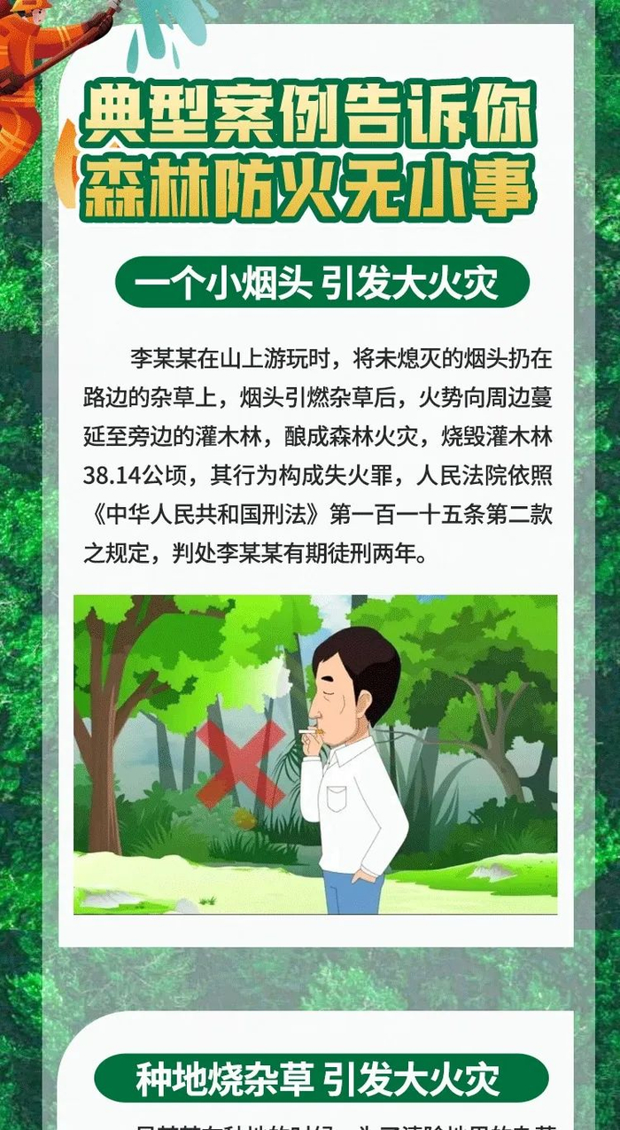 森林防火|森林火灾_新浪新闻