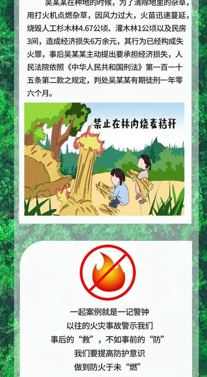 镇雄的父老乡亲们请注意森林防火!|森林防火|森林火灾_新浪新闻