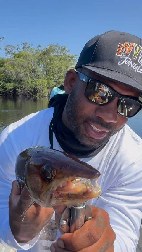 看似普通但牙口厉害被这种鱼咬到会是一种怎样的体验