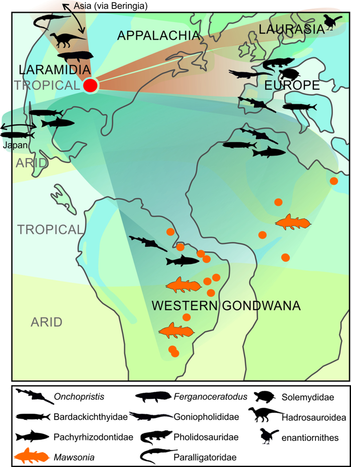 史前海怪活化石鱼的史前亲戚竟然这么大