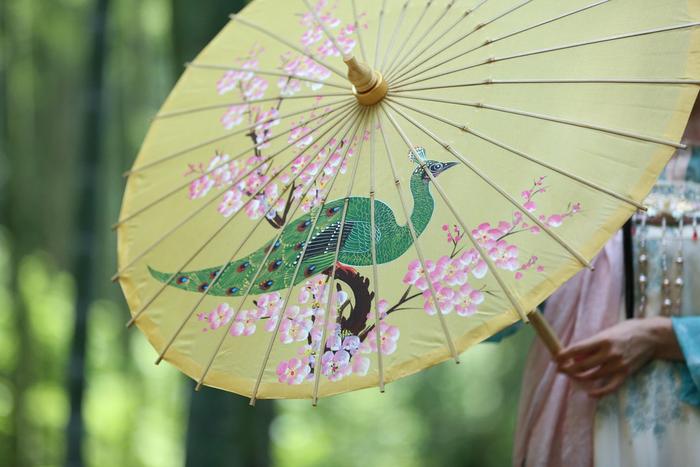 今日雨水 执伞漫步细雨中