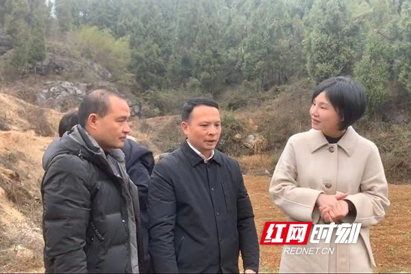 以来,新化县纪委监委先后与吉庆镇老塘冲村以及漆树坪村结成帮扶对子