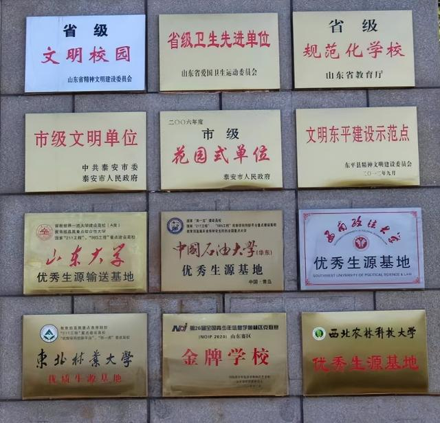 不负山海,预见未来——东平高级中学宣讲队返校宣讲纪实|东平|中学
