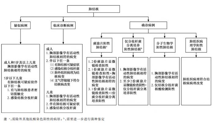 肺结核诊断书写规范指南