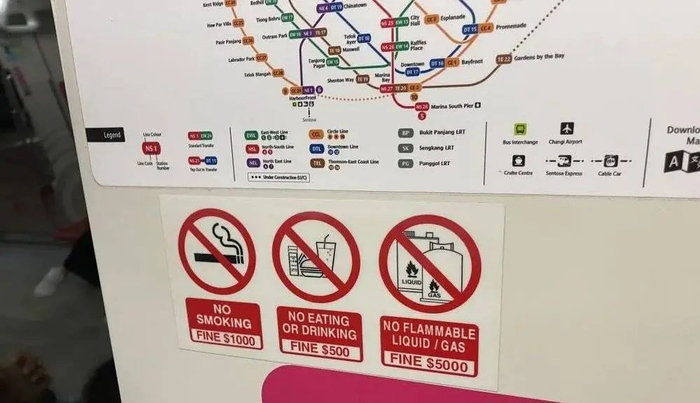 〓 摄影：馍人