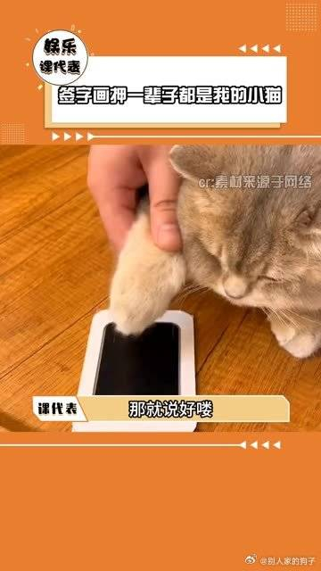那就说好喽签字画押一辈子都是我的小猫