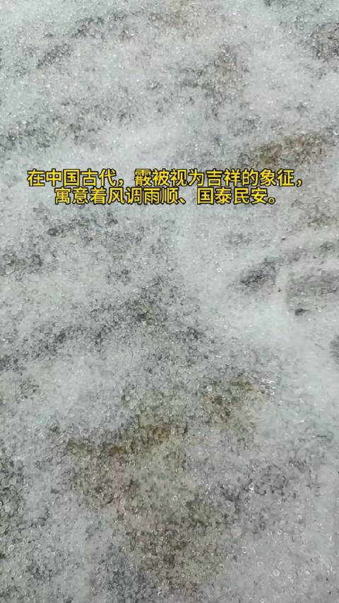 霰雪又名雪丸或软雹