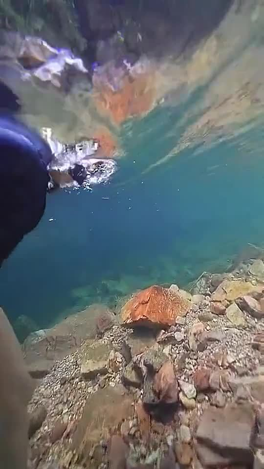 这样的深水区你们敢去吗