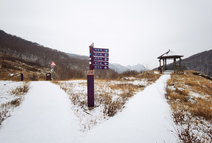 江水河村银装素裹。受访者供图