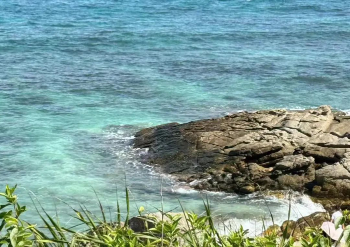 △海南春节假期接待游客近千万人次（图源：受访者供图）