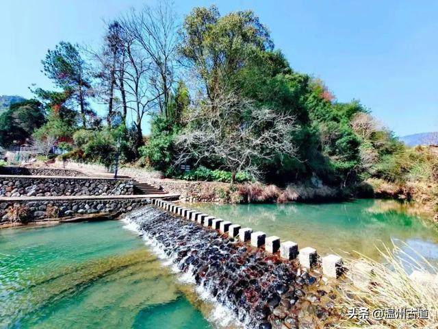 龟蛇溪,如同一条翡翠绿带,绵延4公里,轻盈地在竹里村和大发垟之间蜿蜒