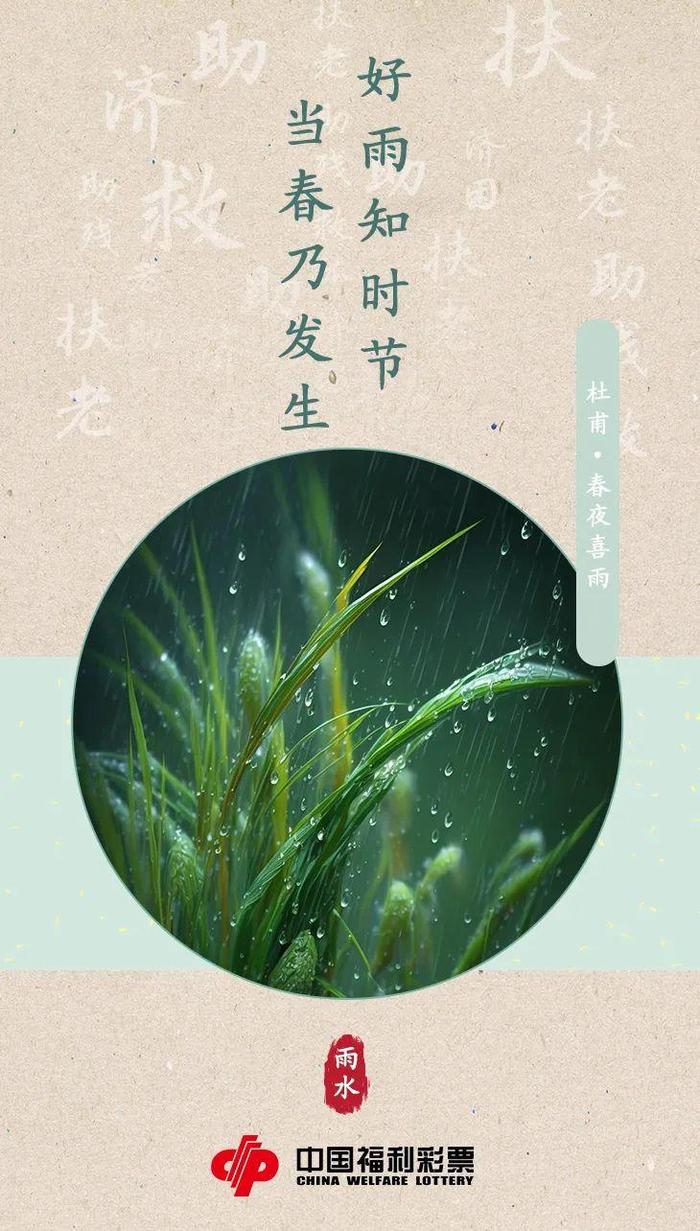 雨水节日美篇图片