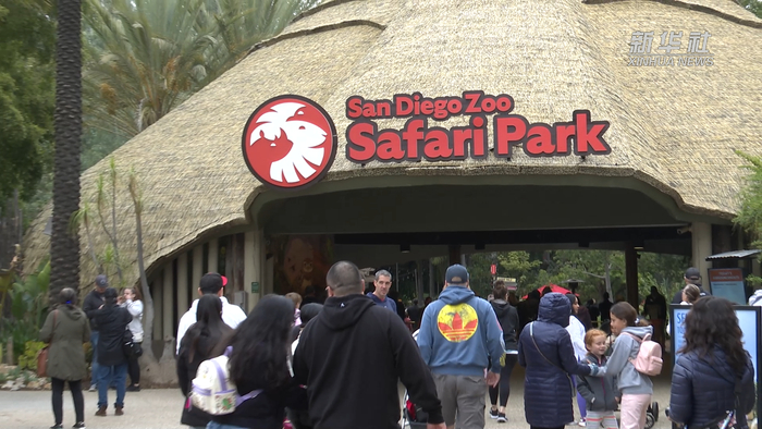 美国圣迭戈两家动物园庆祝中国农历新年