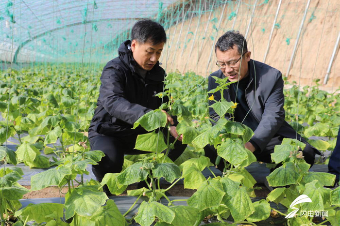 潍坊昌邑:春耕备播专家支招助农增收|春耕|昌邑|春管_新浪新闻