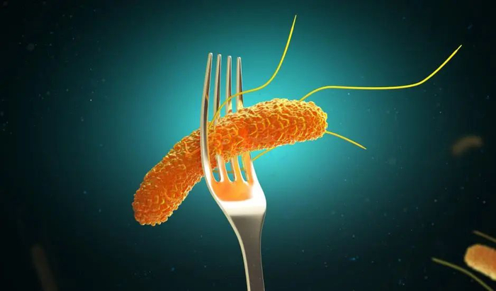 图库版权图片，转载使用可能引发版权纠纷