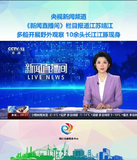 央视新闻频道新闻直播间栏目报道江苏靖江多船开展野外观察