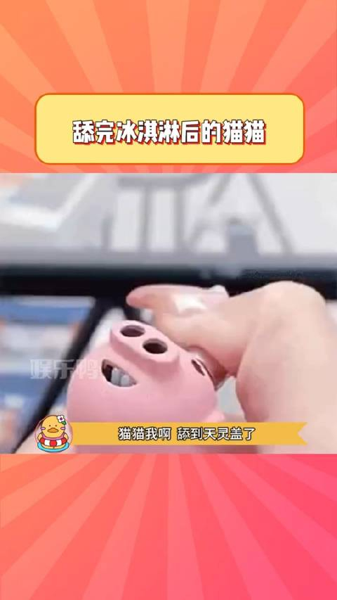 猫猫这酸爽直冲天灵盖