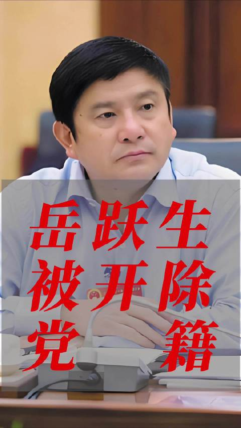 云南省人大常委会预算工作委员会原副主任岳跃生被开除党籍取消退休