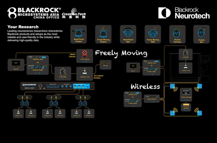 of distinct cortical regions for a delayed sensory-triggered