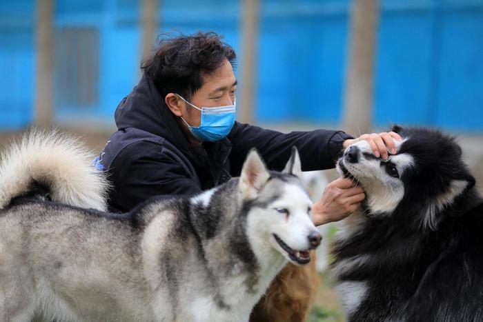 成都一家宠物户外寄养基地的使命主谈主员在检讨狗狗情况。视觉中国 贵府图