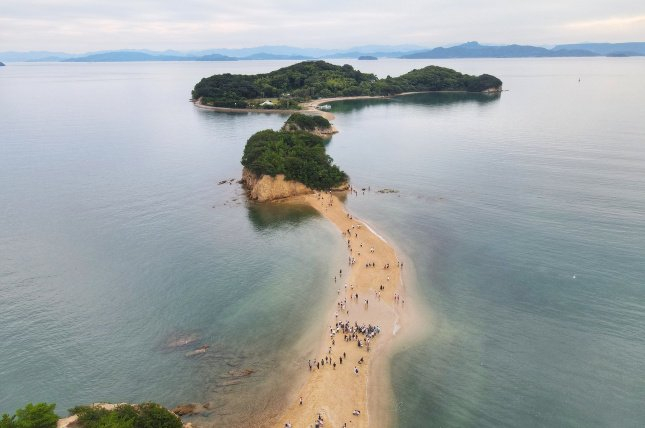 读书| 在城市之外,活出另一种人生|离岛经济新闻|冲绳_新浪新闻