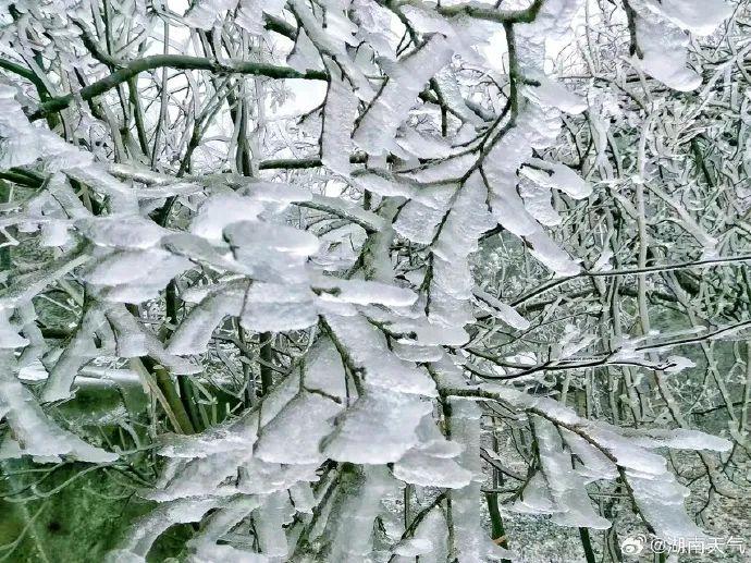 湖南下雪啦!接下来还有暴雪!最新预报