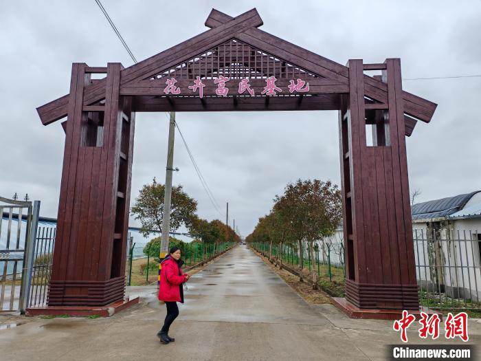 (新春走基层)探访盐城盐都台创园:乡村"花经济"玩出新"花"样|盐都