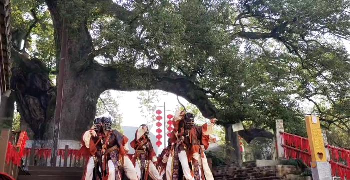 河蚌舞(九砂村)锣鼓声响,河蚌登场.