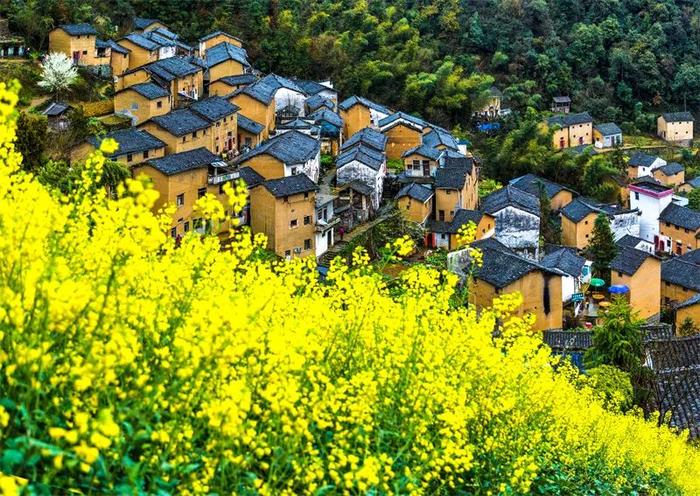 阳产土楼  张清 摄点评 图片结合了自然风景与建筑两种元素